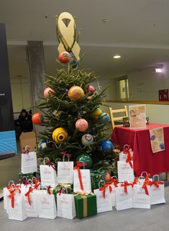Ein Baum der Wünsche für das Krankenhaus Bozen