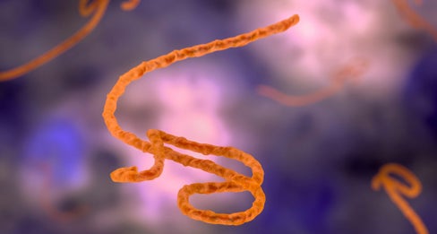 Ebolavirus (Foto: 123rf)