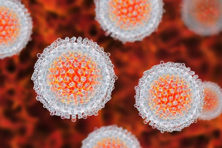 Was ist Hepatitis C?