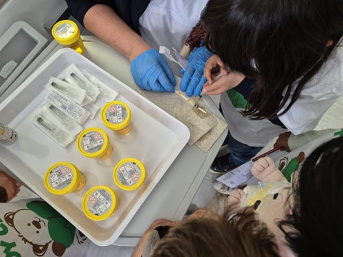 Auswertung der Tests.