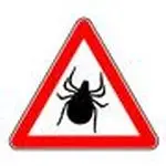 Zecche e la loro importanza nella trasmissione delle Malattie Infettive