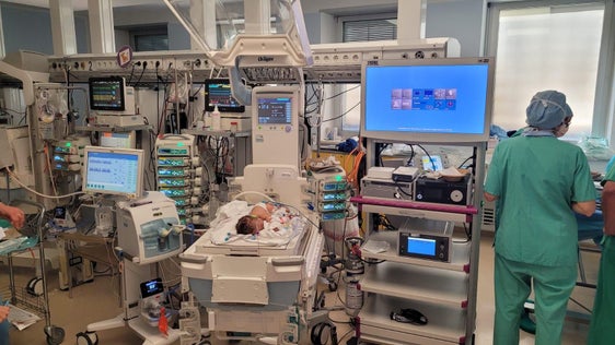 Winzig klein und doch bestens betreut: Luca während des Eingriffs (Foto Sabes)