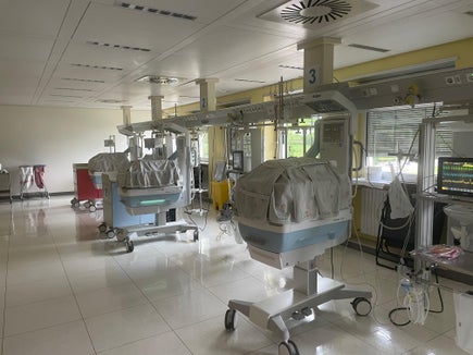 Den Frühchen geht es gut. Foto: Sabes