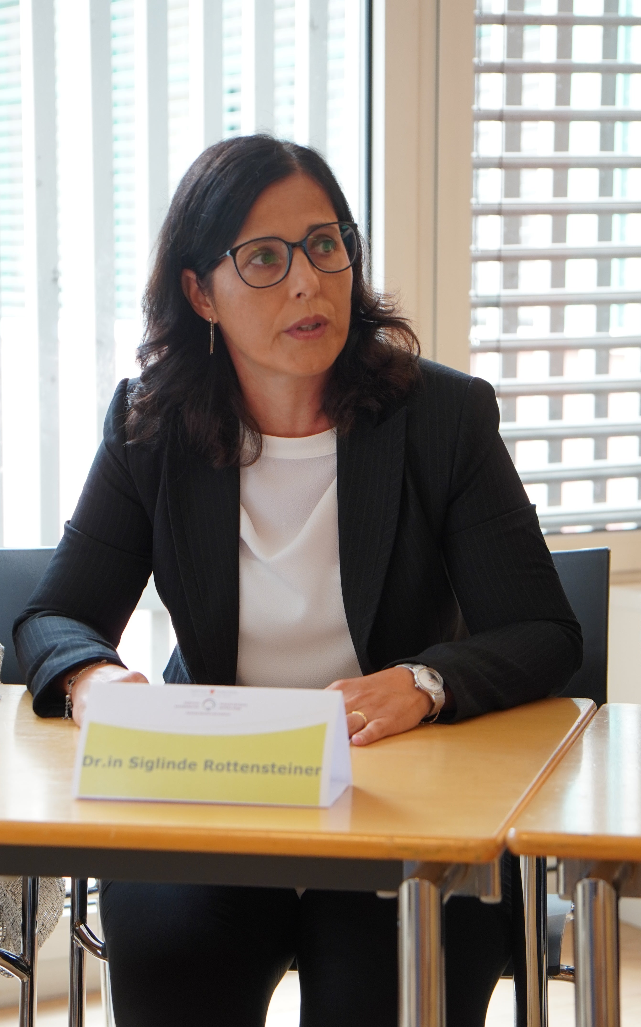 Siglinde Rottensteiner, Stabstelle für die wohnortnahe Versorgung 