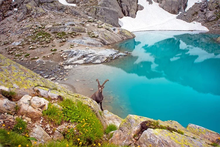 Biodiversität (Foto: 123rf)