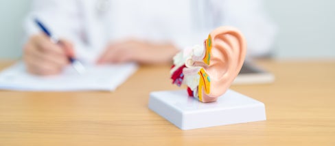 Gutes Hören ist wichtig (Foto 123rf)