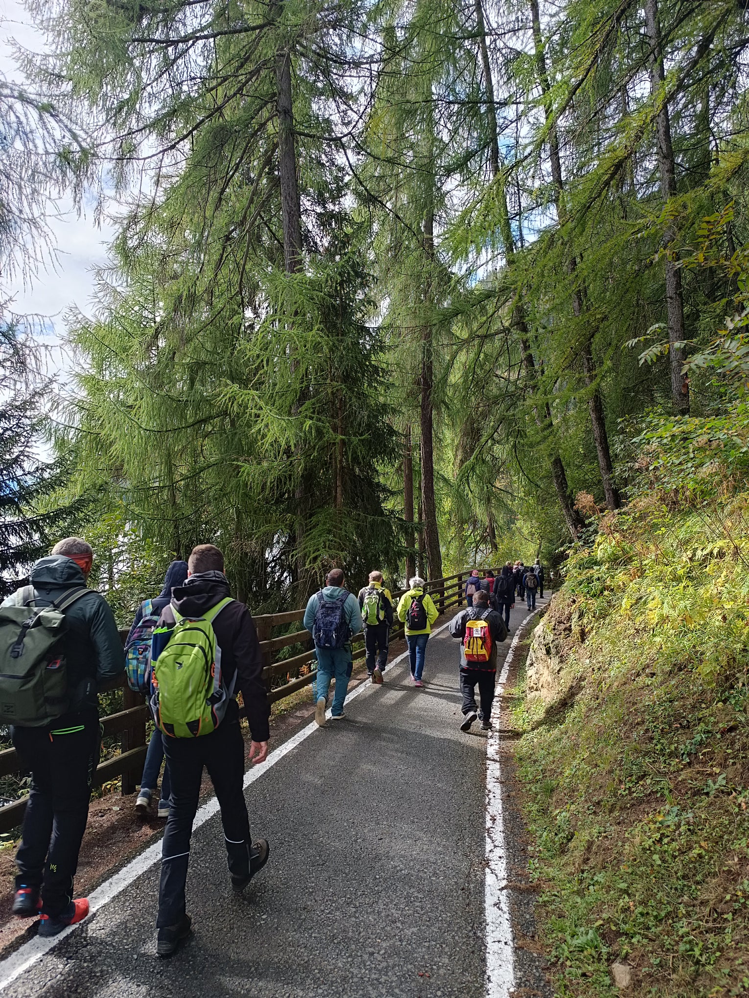 Foto: Psychiatrischer Dienst Meran