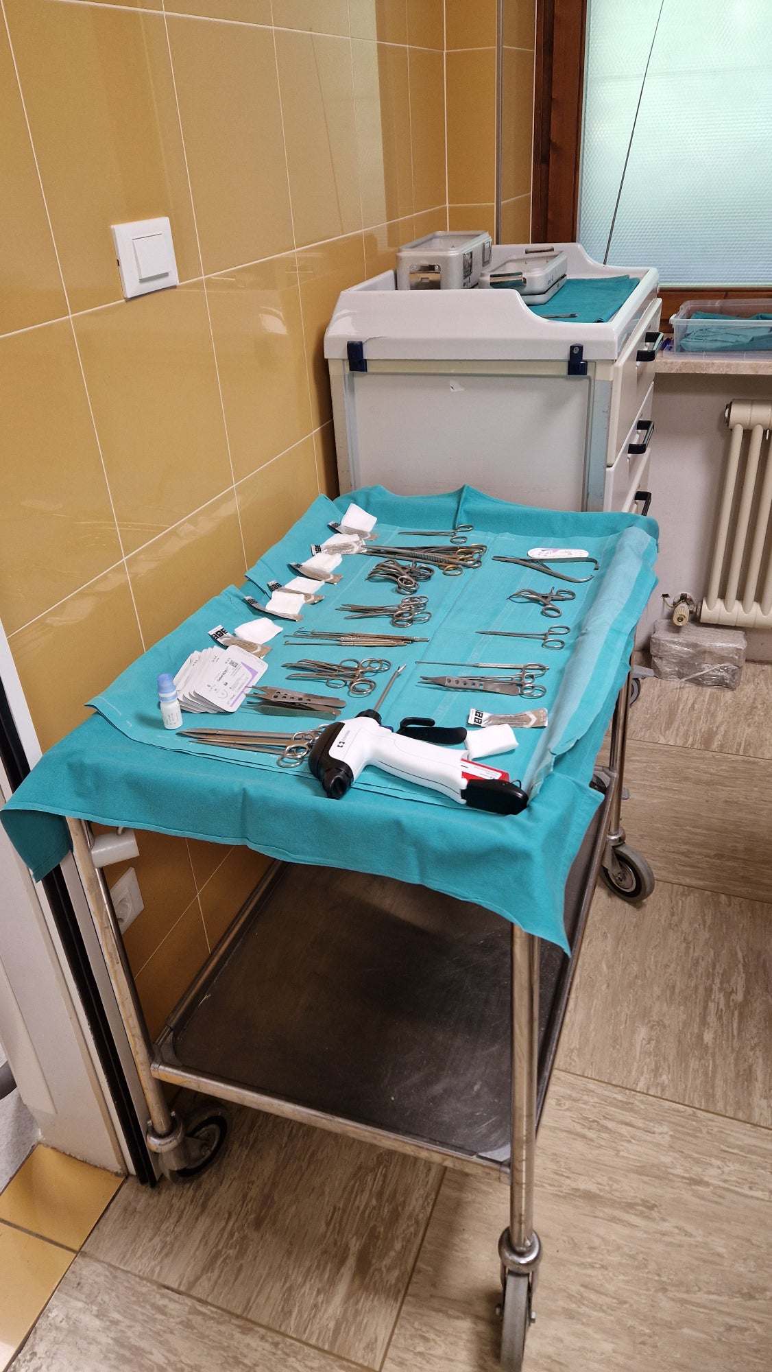 Preparativi per la sterilizzazione dei gatti che vivono in libertà (Foto: Vera Schindler)