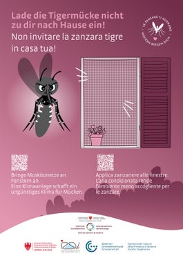 Lade die Tigermücke nicht zu dir nach Hause ein!