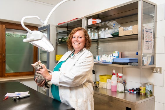 Amtstierärztin Dr.in Ingrid Misfatto im Behandlungsraum des Tierheims Sill (Foto: Ivo Corrà)