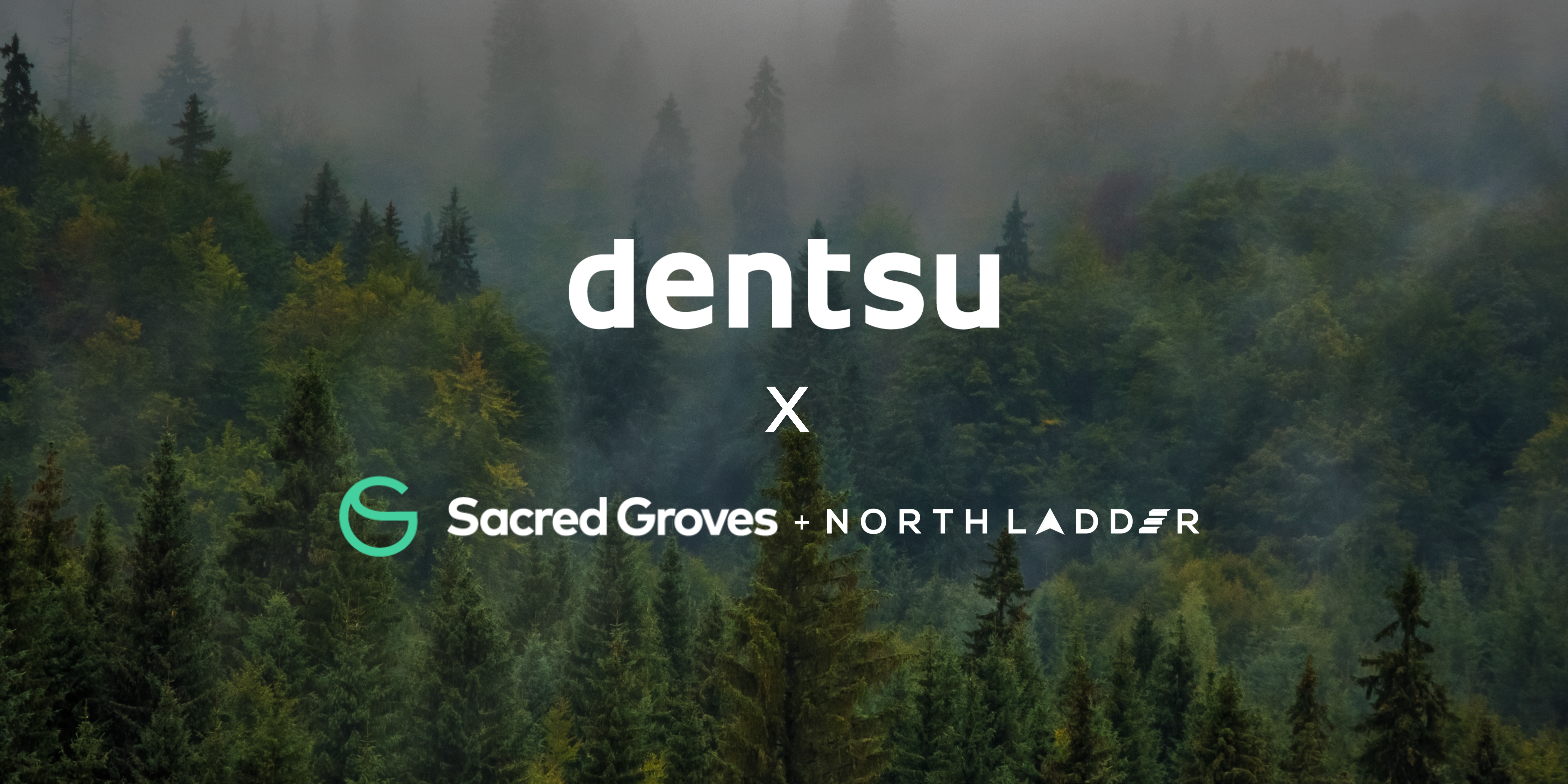 Article card header image