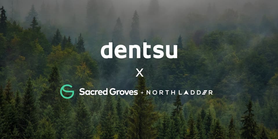 Article card header image