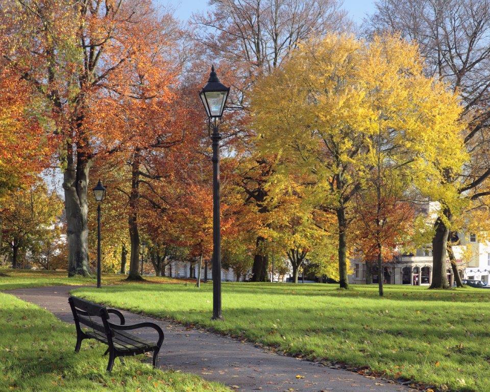 Pavilion Heights Clifton local area_image 1