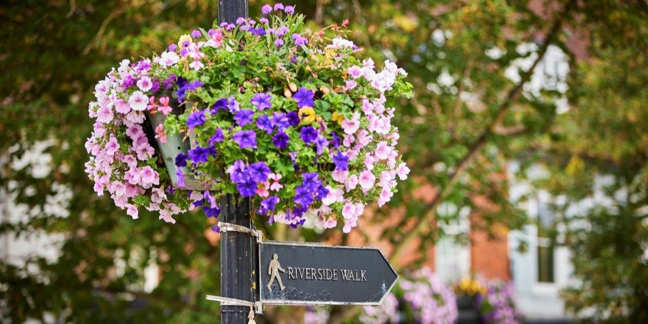 SNG at Alresford Meadows - local area - sign