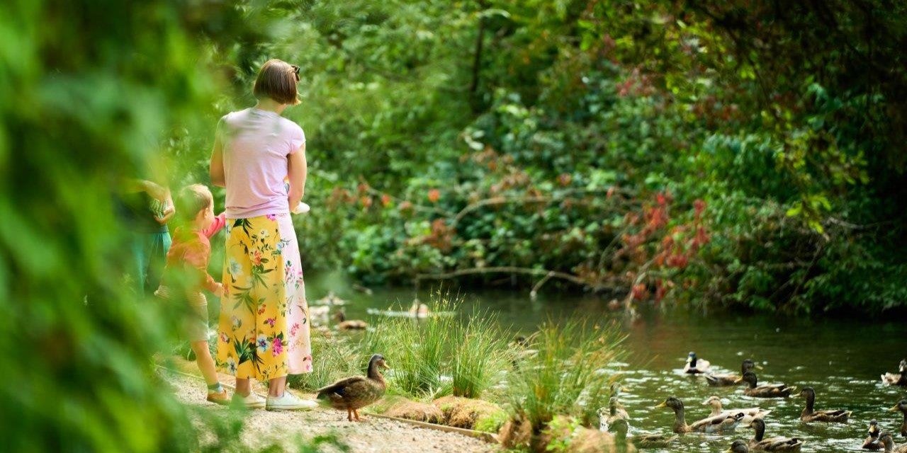 SNG at Alresford Meadows - local area - river walk #2