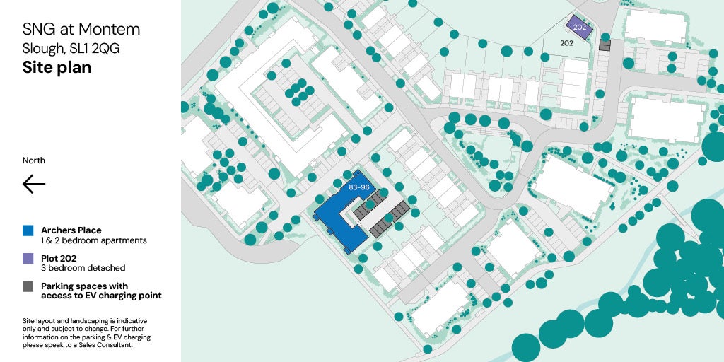 SNG at Montem - site plan