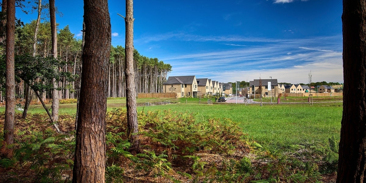 SNG at Elmstead gallery - development photo Sept26