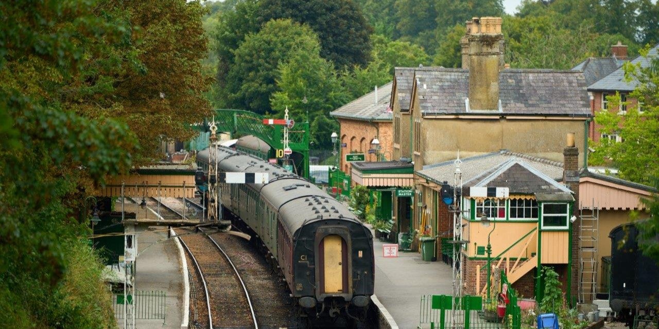SNG at Alresford Meadows - local area - train