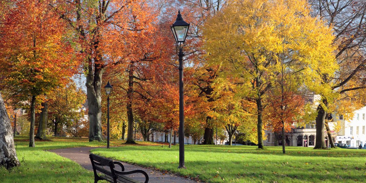 Pavilion Heights image 3