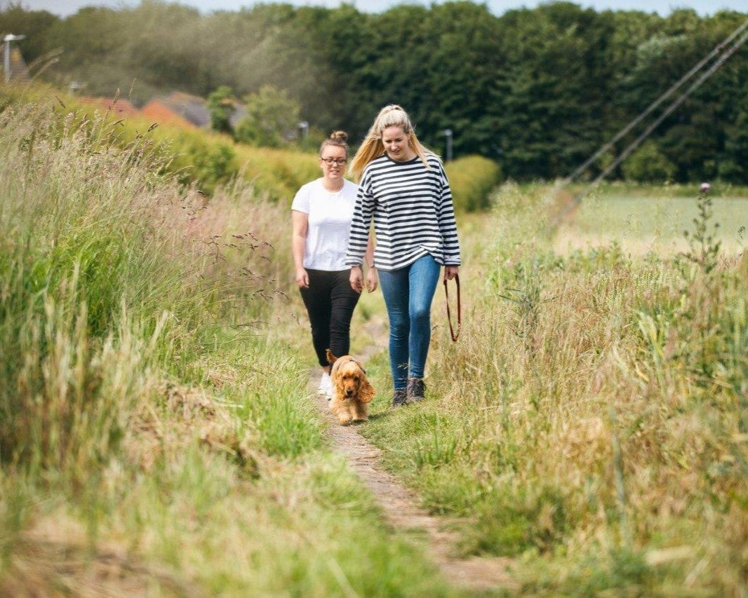 SNG at Alresford Meadows - 2 bed houses stock _ walk lifestyle family