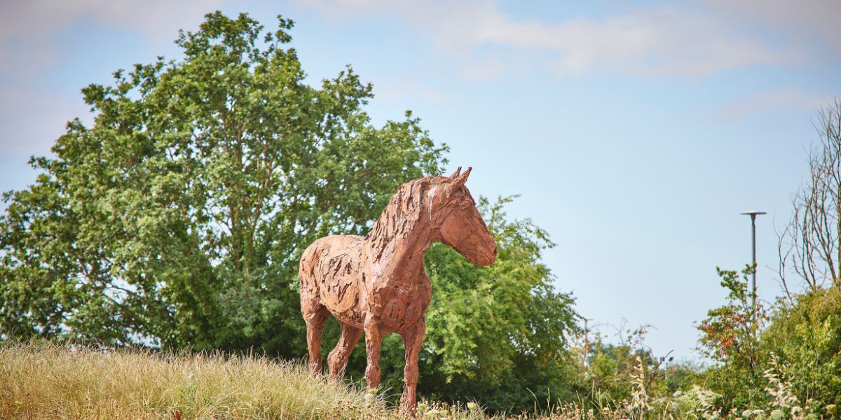 King George Park gallery image 3