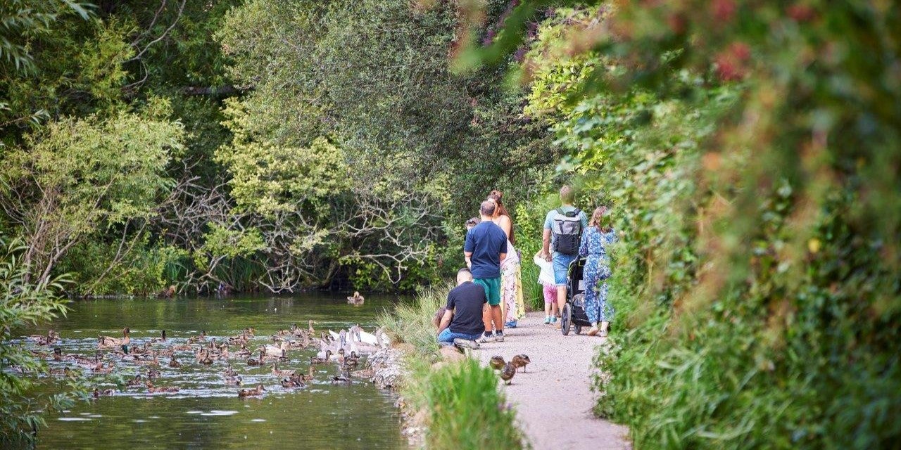 SNG at Alresford Meadows - local area - river walk