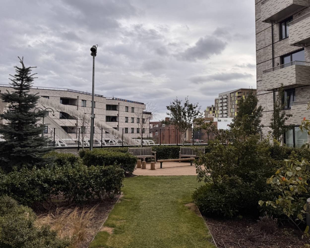 Photo showing the communal gardens at Tavener House