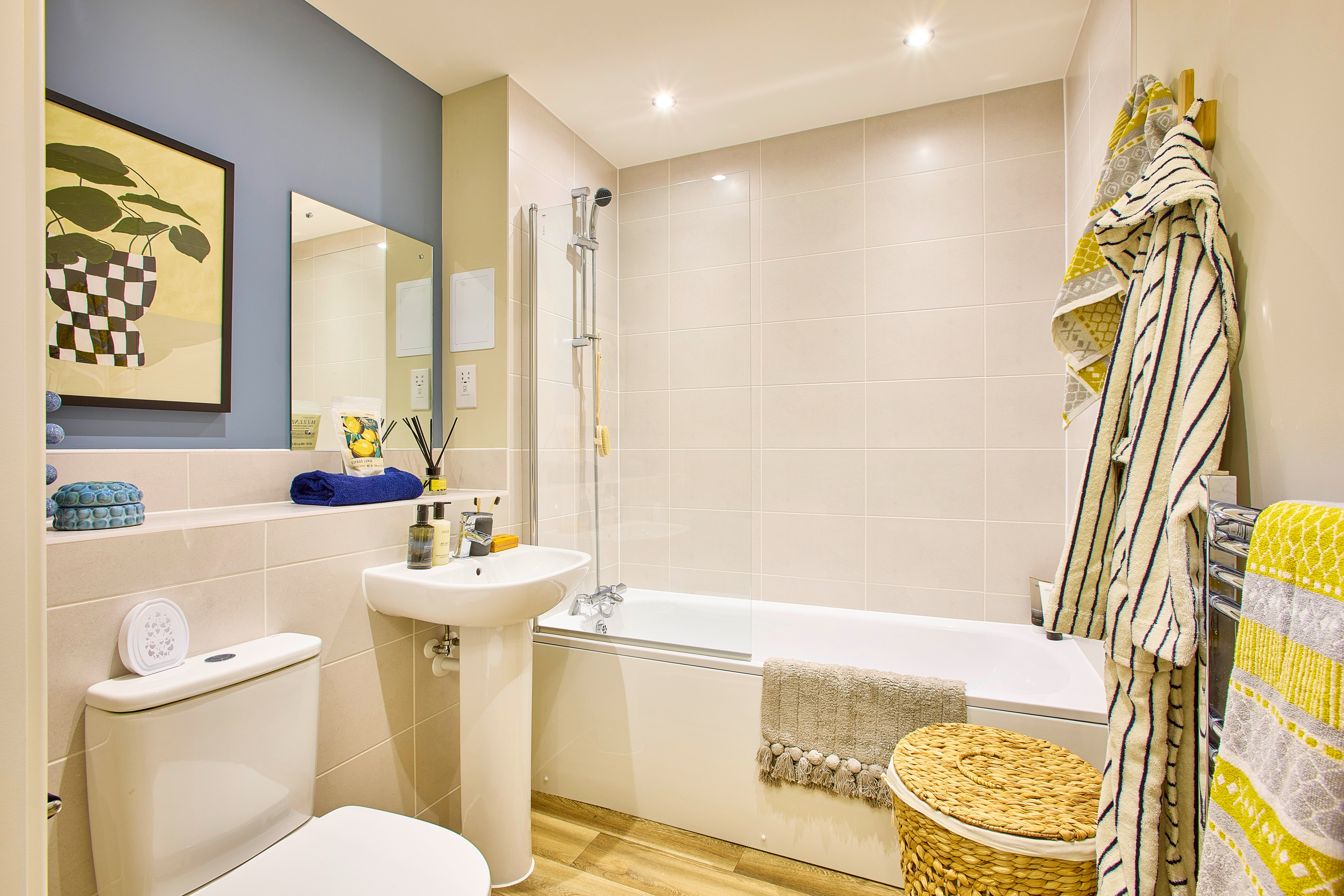 SNG at Montem show home image