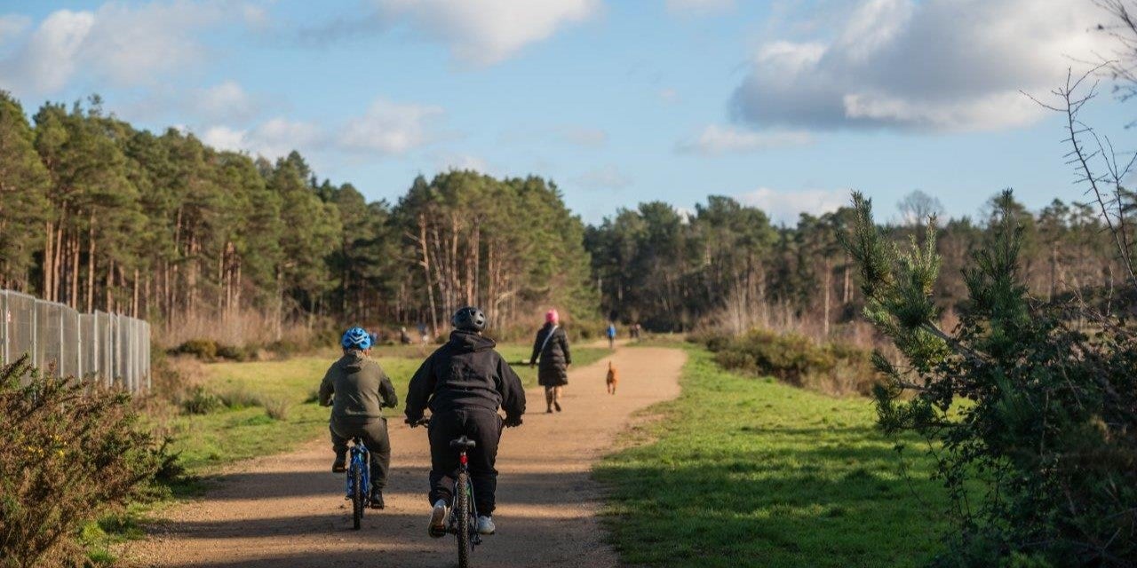 SNG at Elmstead gallery - image #3 - cycling in the forest