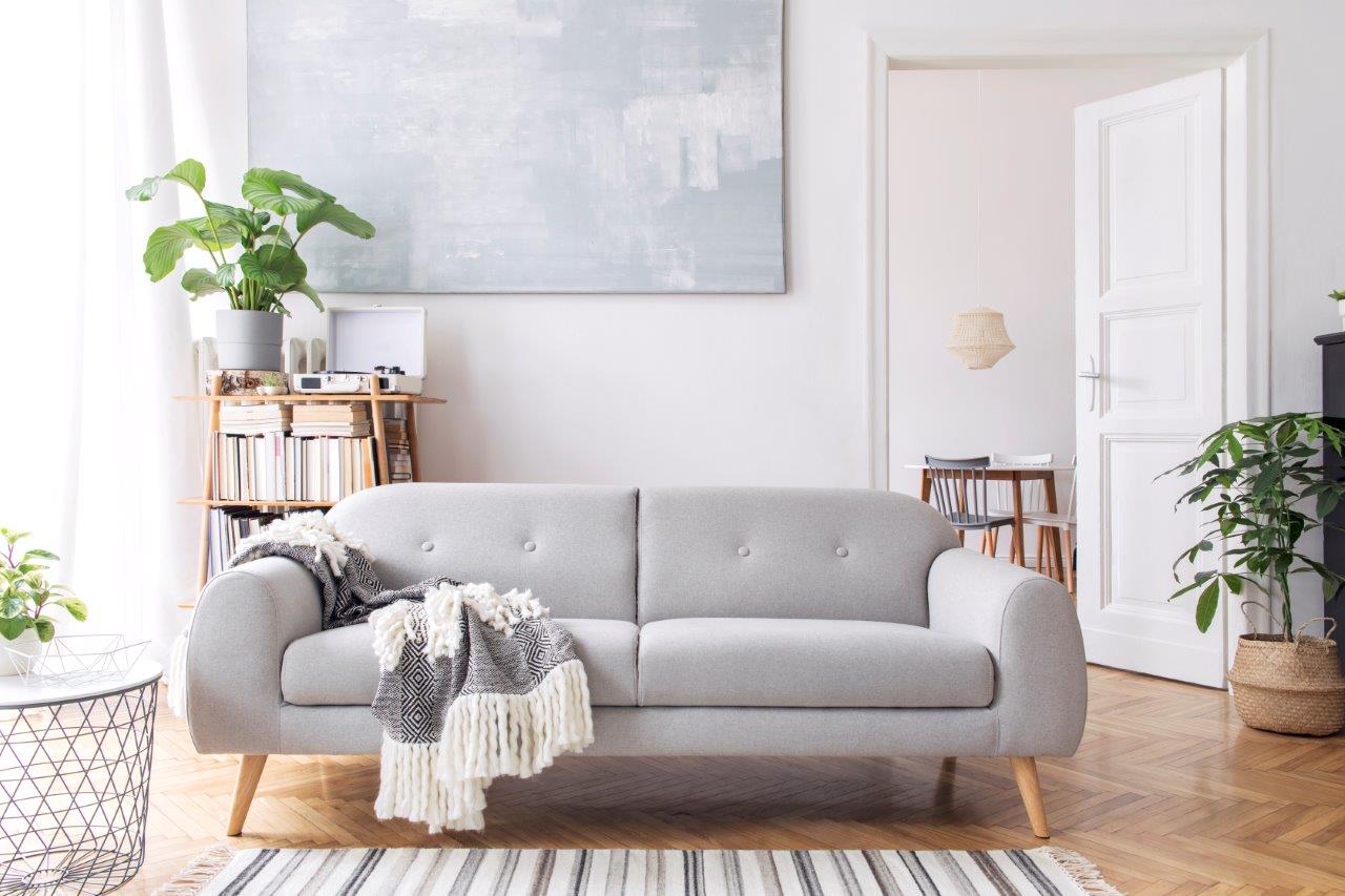 Photograph of a living space with a grey theme and indoor plants