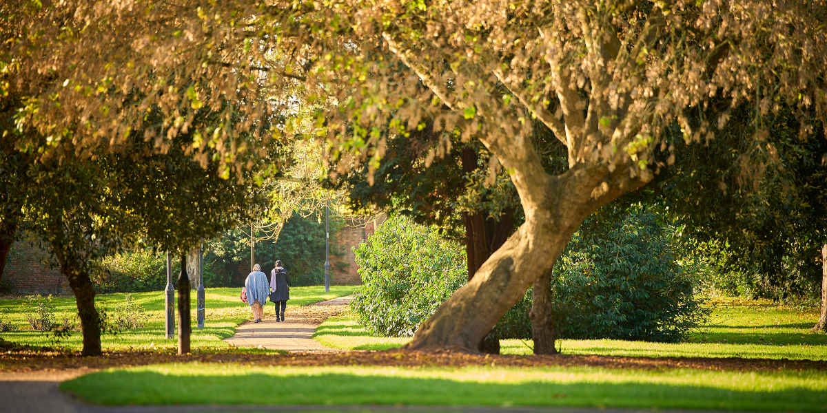 SNG at Montem development gallery image 2 - Slough - local park