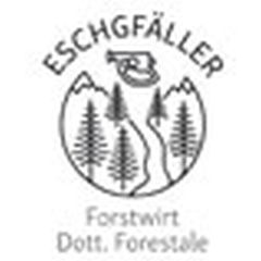 Schema di svolgimento e linea guida per il distacco artificiale programmato di valanghe