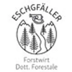 Schema di svolgimento e linea guida per il distacco artificiale programmato di valanghe