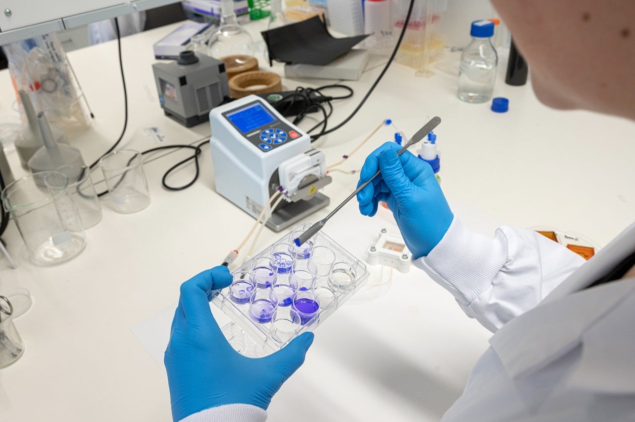 Number of animal experiments at Utrecht University and UMC Utrecht