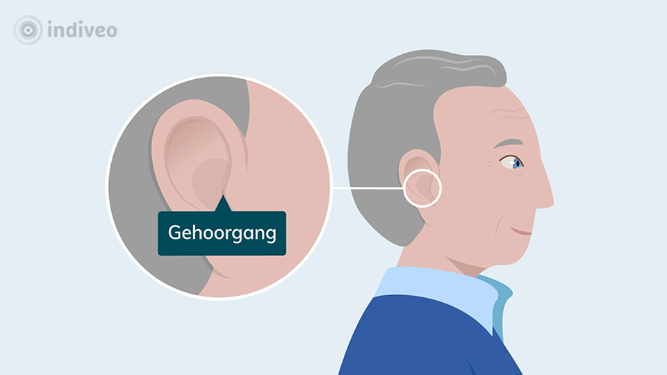gehoorgang
