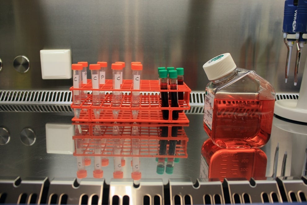 Utrecht Monoclonal Antibody Facility (UMAB) UMC Utrecht