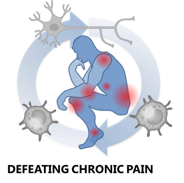 Neuro-Immunology Of Pain - Group Eijkelkamp - UMC Utrecht