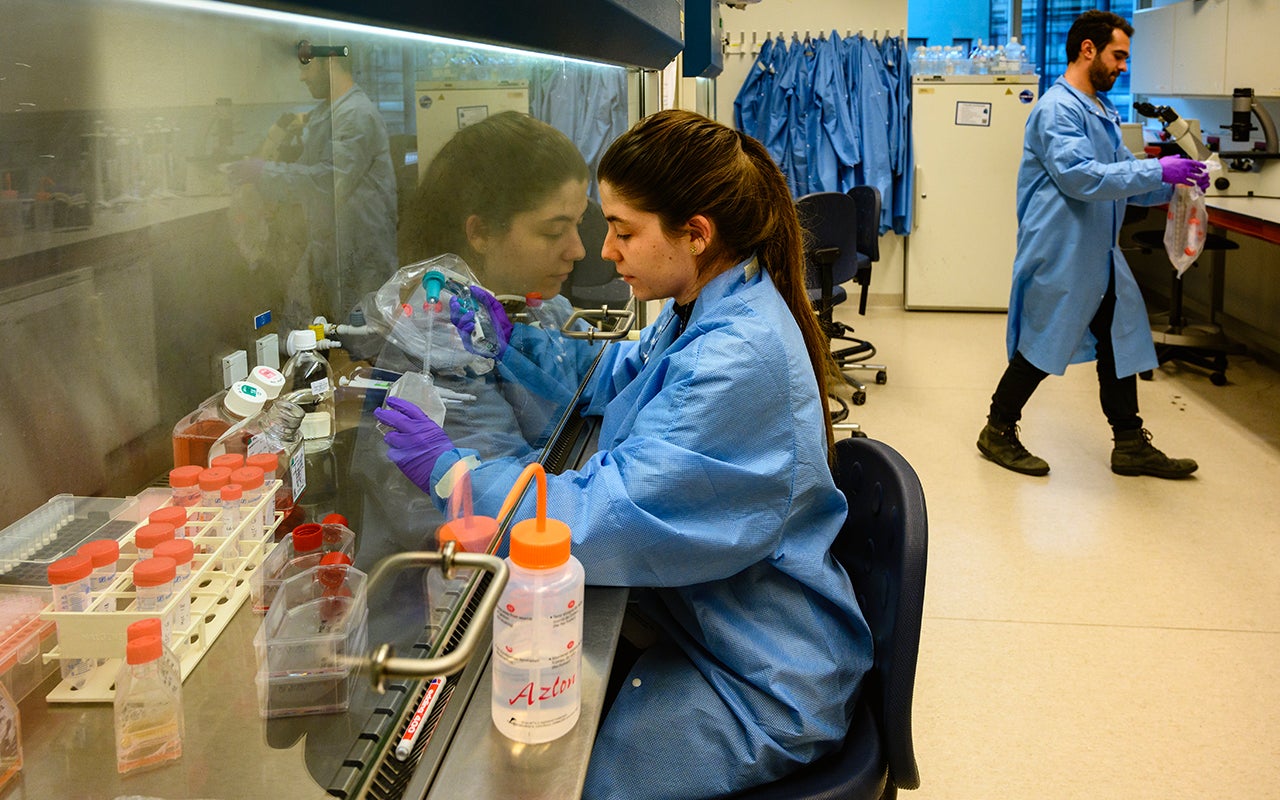 how-to-repair-a-damaged-heart-key-mechanism-behind-heart-regeneration