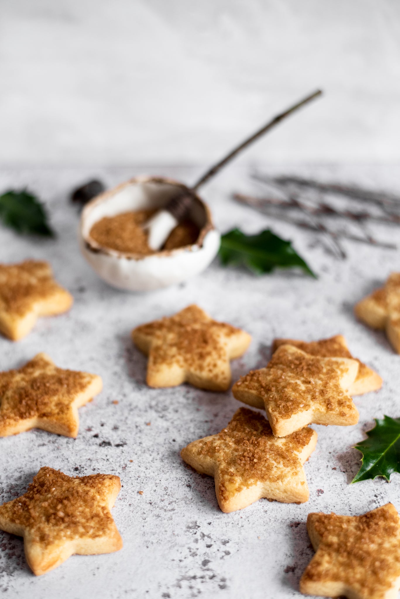 Swiss Christmas Biscuits Recipe