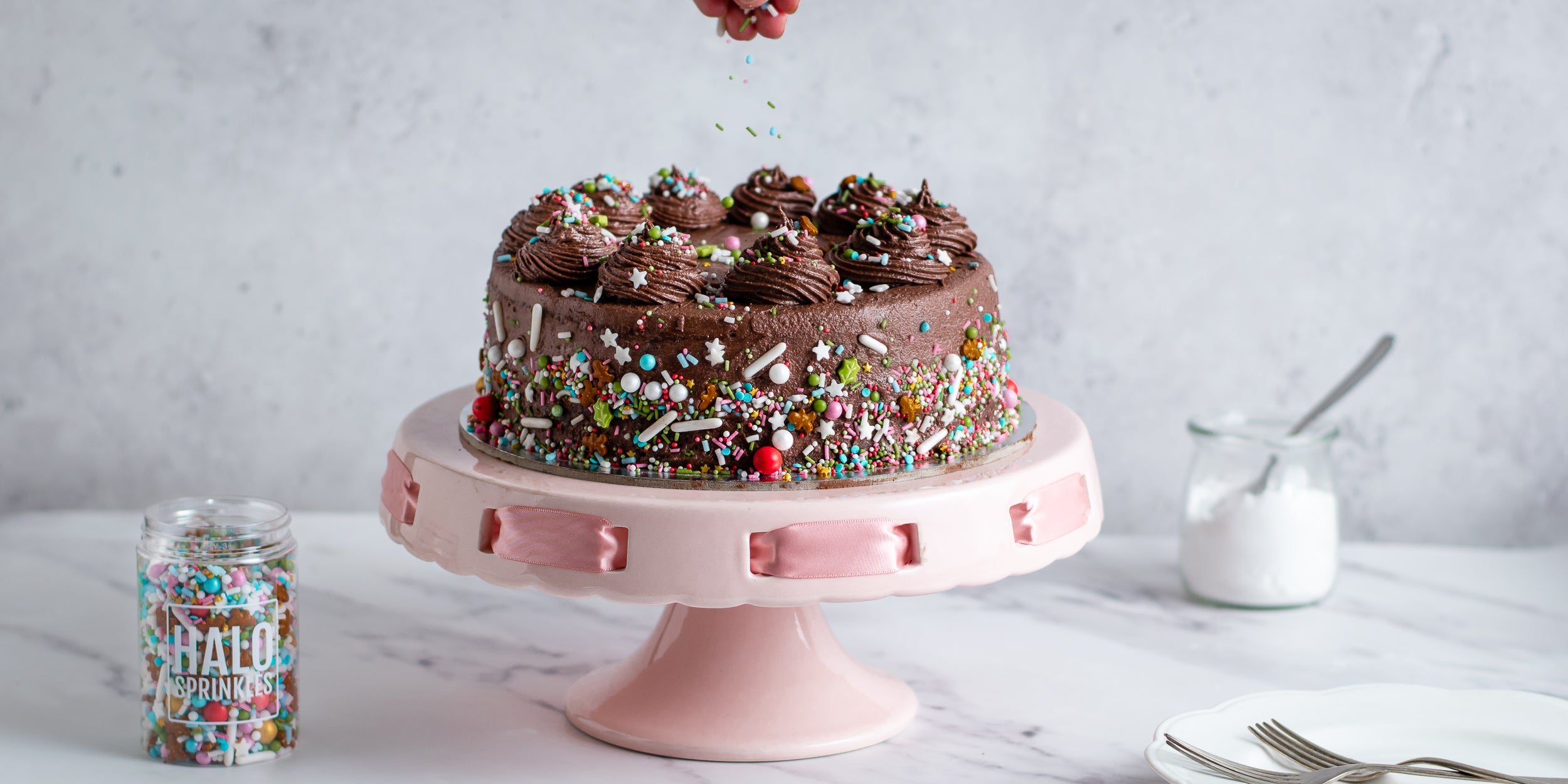Chocolate Peanut Butter Cake Recipe - Sugar & Sparrow
