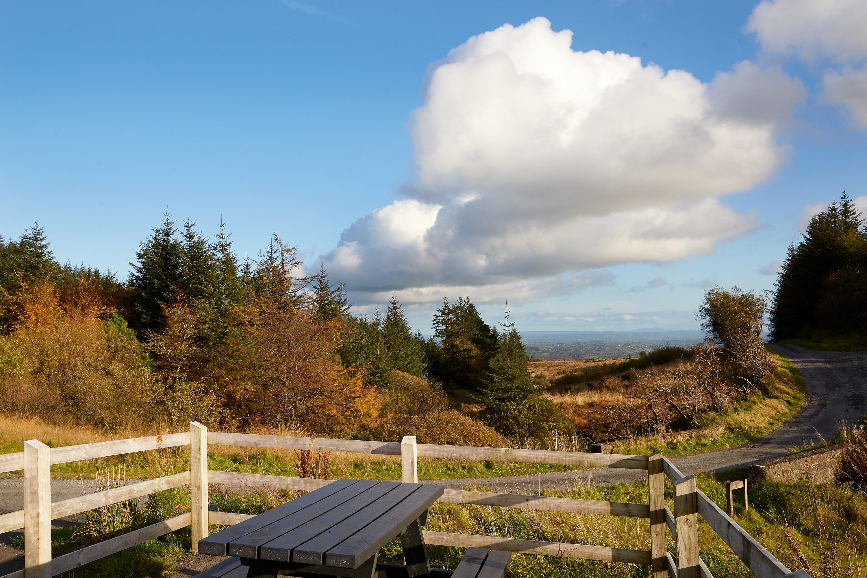 Develop a destination and placemaking plan for Patrick Kavanagh Country.