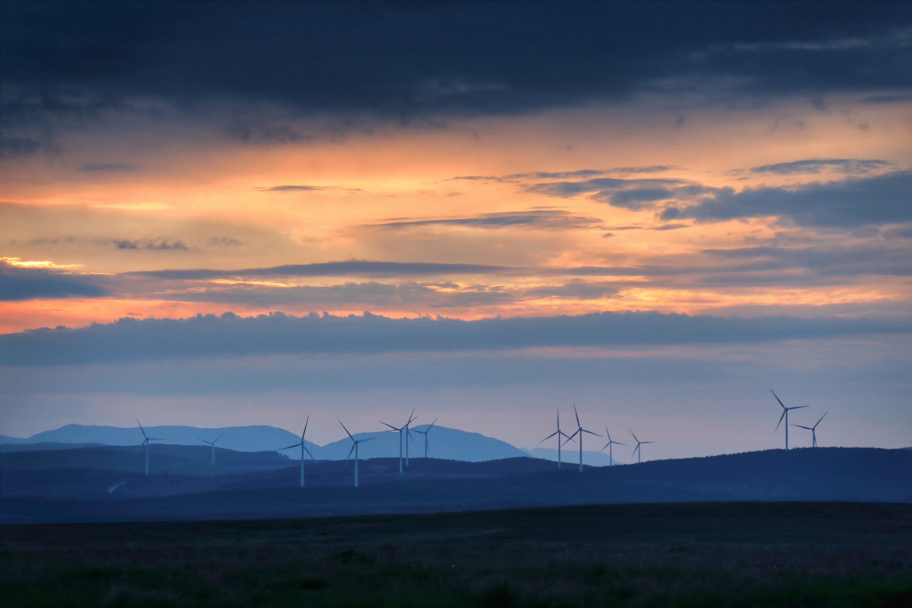 Wind turbines in a field