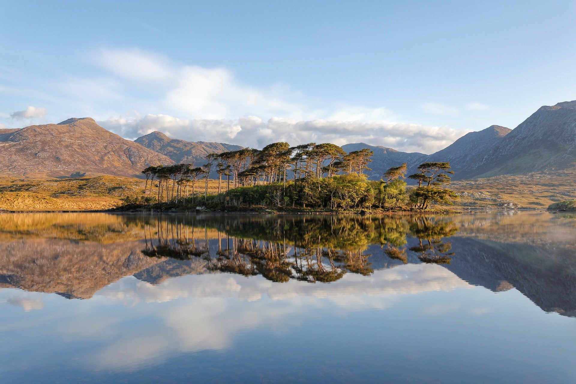 Scenic picture of lake and mountains 