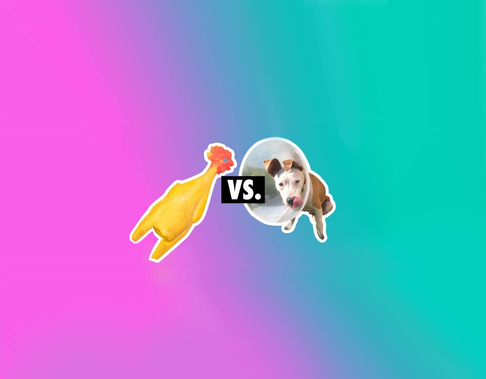 Vigyél Haza Foundation - 1% Campaign