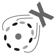 Voortentamen CCVX Biologie 15 april 2026