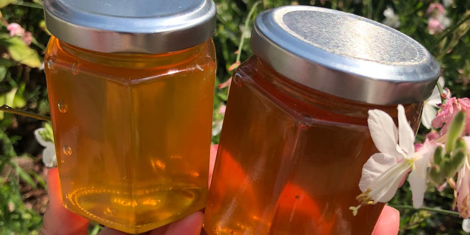 Article card header image