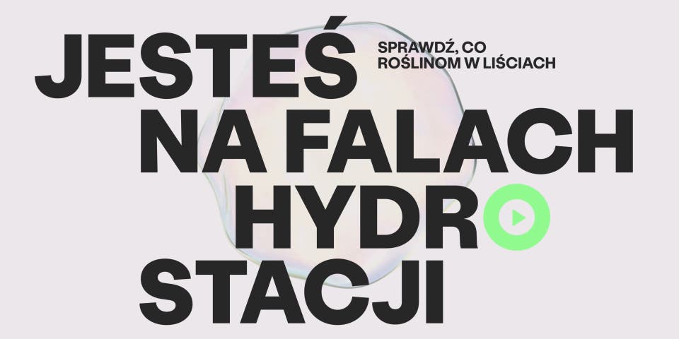 Article card header image