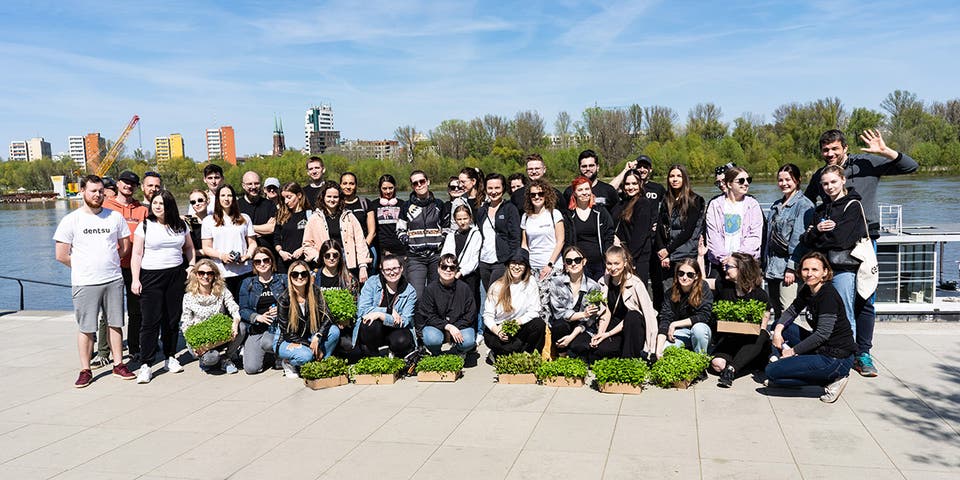 Article card header image