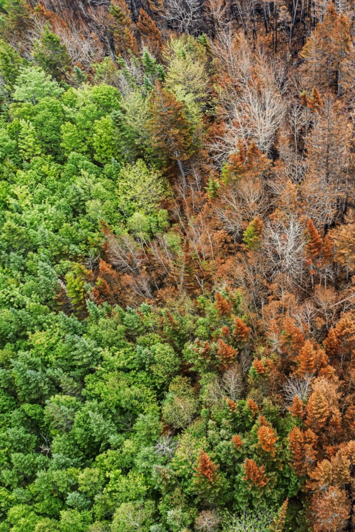 Άμεση στήριξη για τους ασφαλισμένους μας