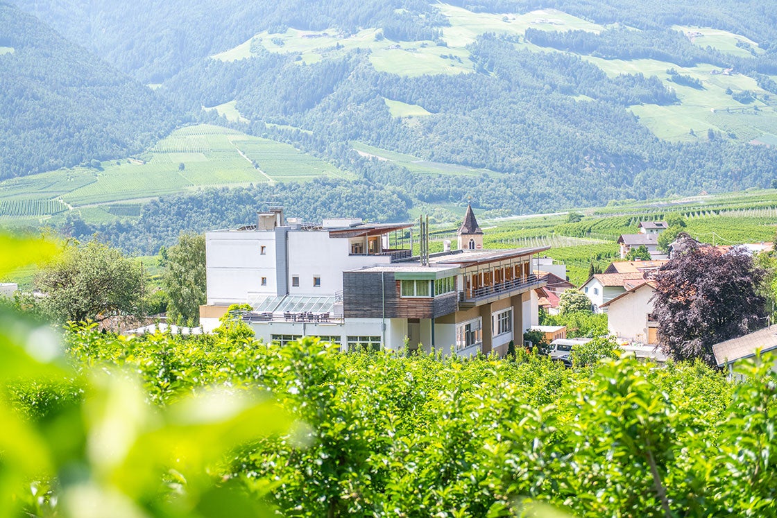 Schulgebäude im Hintergrund und im Vordergrund Apfelbäume